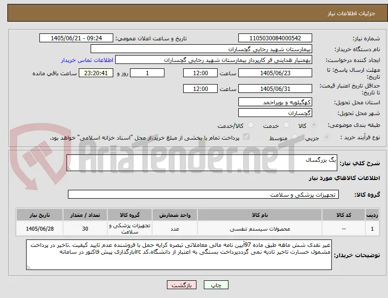 بگ بزرگسال