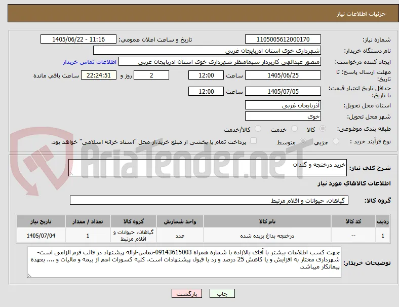 خرید درختچه و گلدان