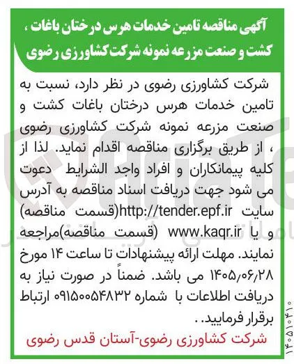 تامین خدمات هرس درختان باغات کشت و صنعت مزرعه نمونه