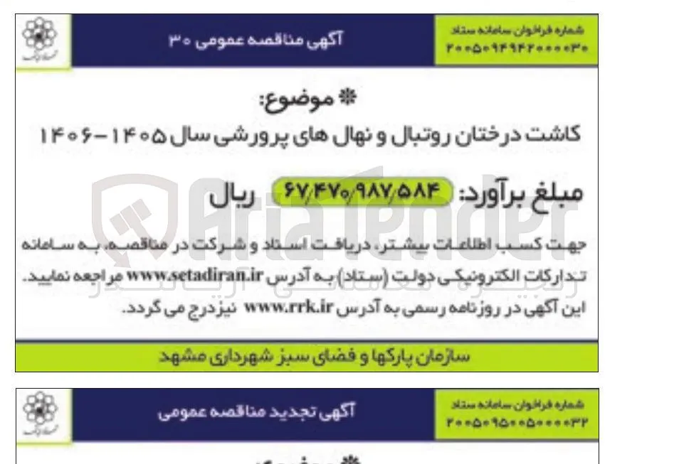 کاشت درختان روتبال و نهال های پرورشی سال ۱۴۰۵ - ۱۴۰۶